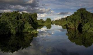湿地生态系统具有什么功能